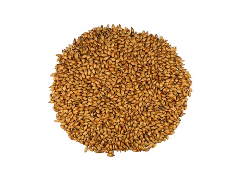 Dingemans Special B Malt 1kg Whole