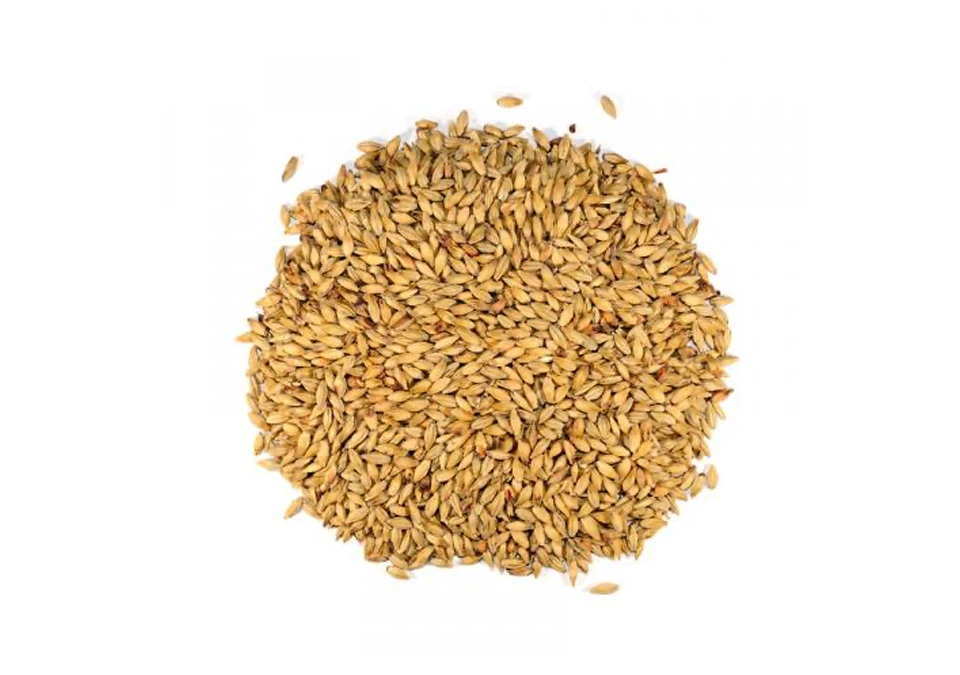 Dingemans Aromatic Malt 1kg Whole