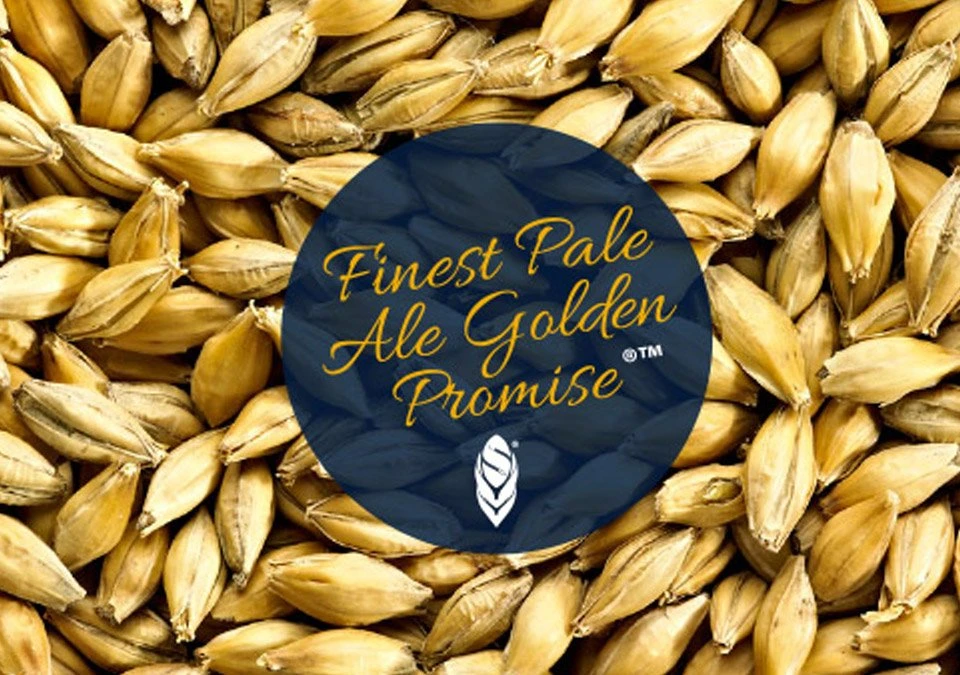 Simpsons Golden Promise Pale Ale Malt 3kg Whole