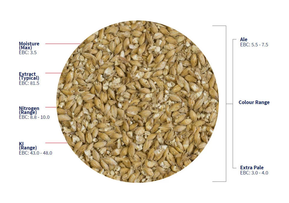 Crisp Maris Otter 1kg Crushed