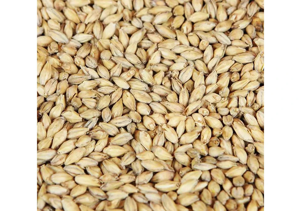 Weyermann Extra Pale Premium Pilsner Malt 1kg Whole