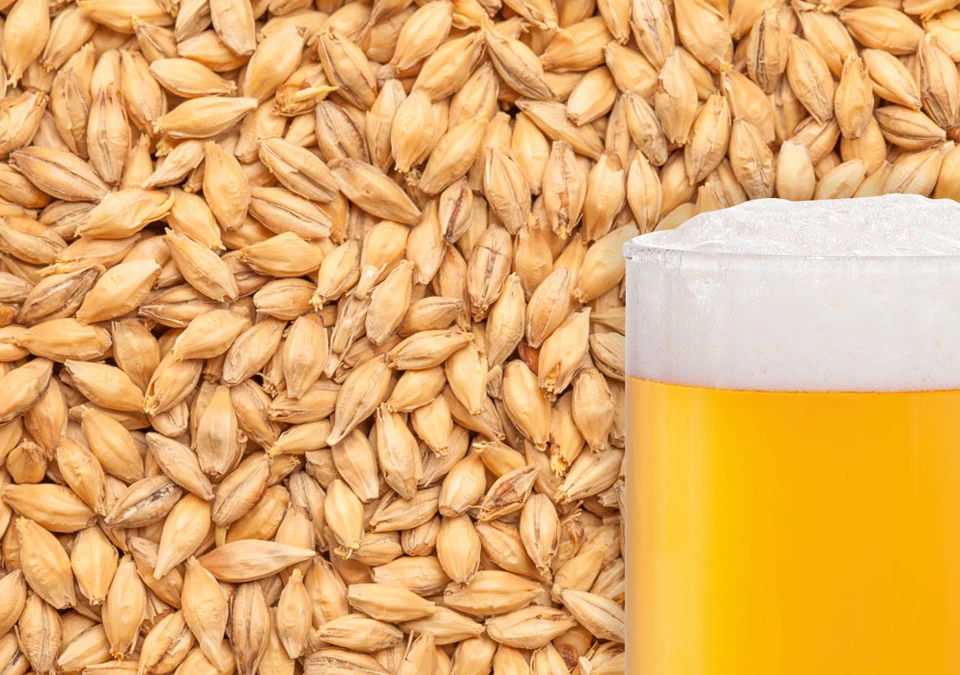 Weyermann Carapils Malt 250g Crushed