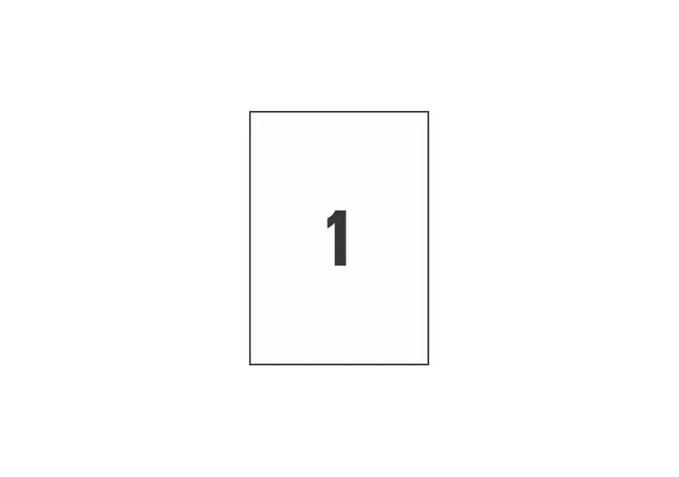 Multi-purpose labels 210x297mm (A4) 100-pack